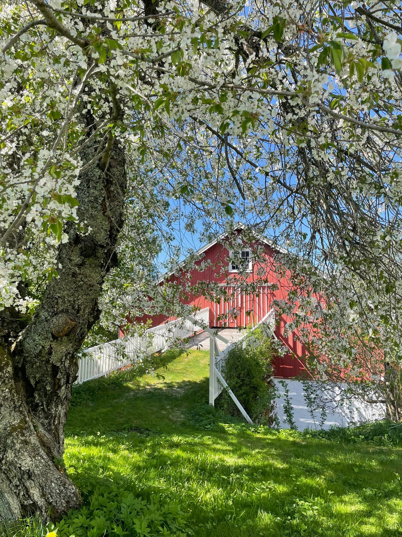 Ferstad Gård