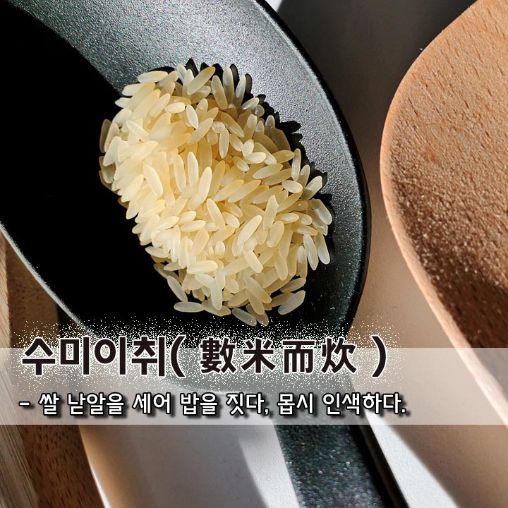 오늘의 - 실마치구(失馬治廐) - 말 잃고 마구간 고친다, 실패한 뒤에 대비한다. [잃을 실(大/2) 말 마(馬/0) 다스릴 치 ...