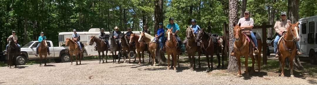 Irish Wilderness Trail... - Irish Wilderness Trail Rides