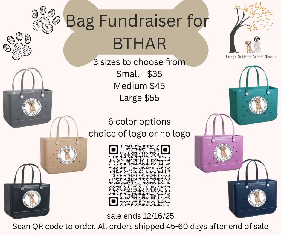 Bridge - Dupe Bogg Bag Fundraiser - new color options and choice of ...