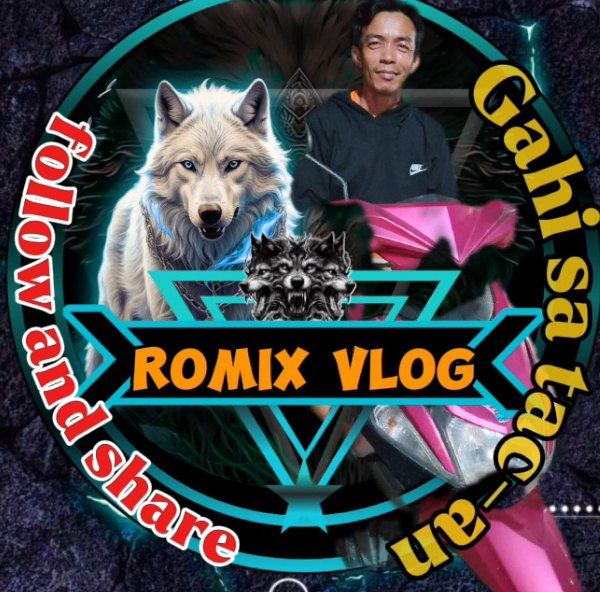 Romix Vlog