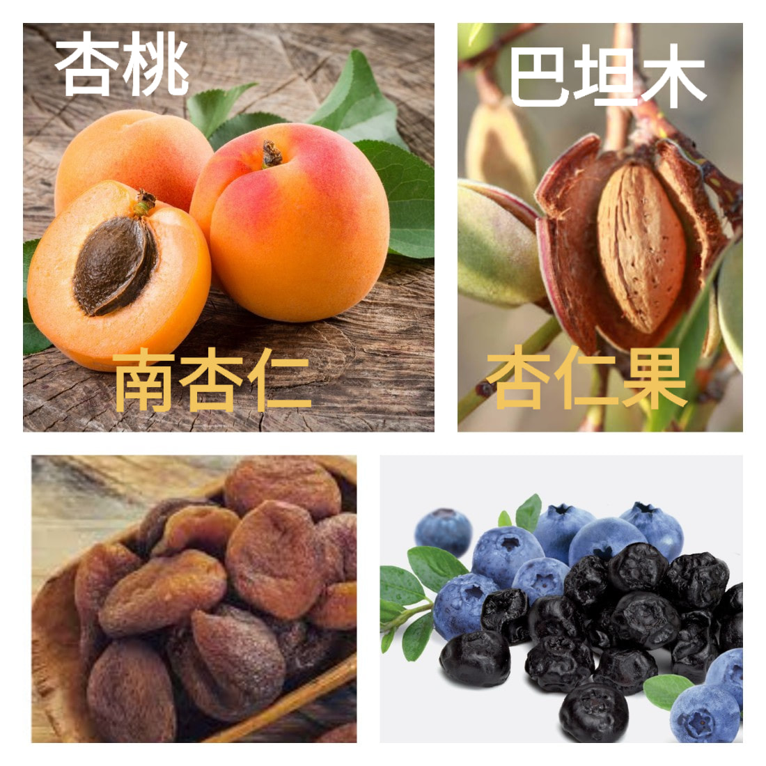 富穀樂糧行 - 今天來做個小科普好了 很多人會搞不清楚南杏仁和杏仁果的差別 華人常喝的杏仁茶... | Facebook