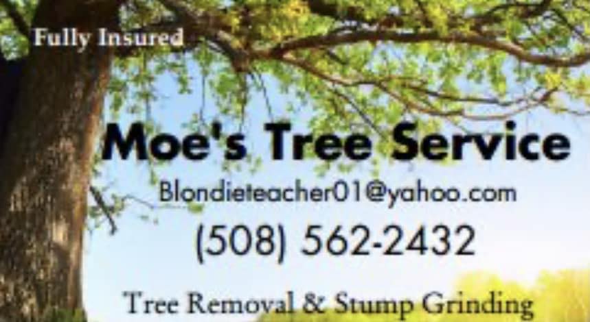 Clarks Tree Service, Inc. | East Freetown MA