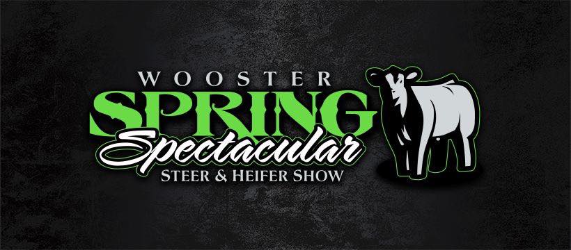 Wooster Spring Spectacular Steer & Heifer Show