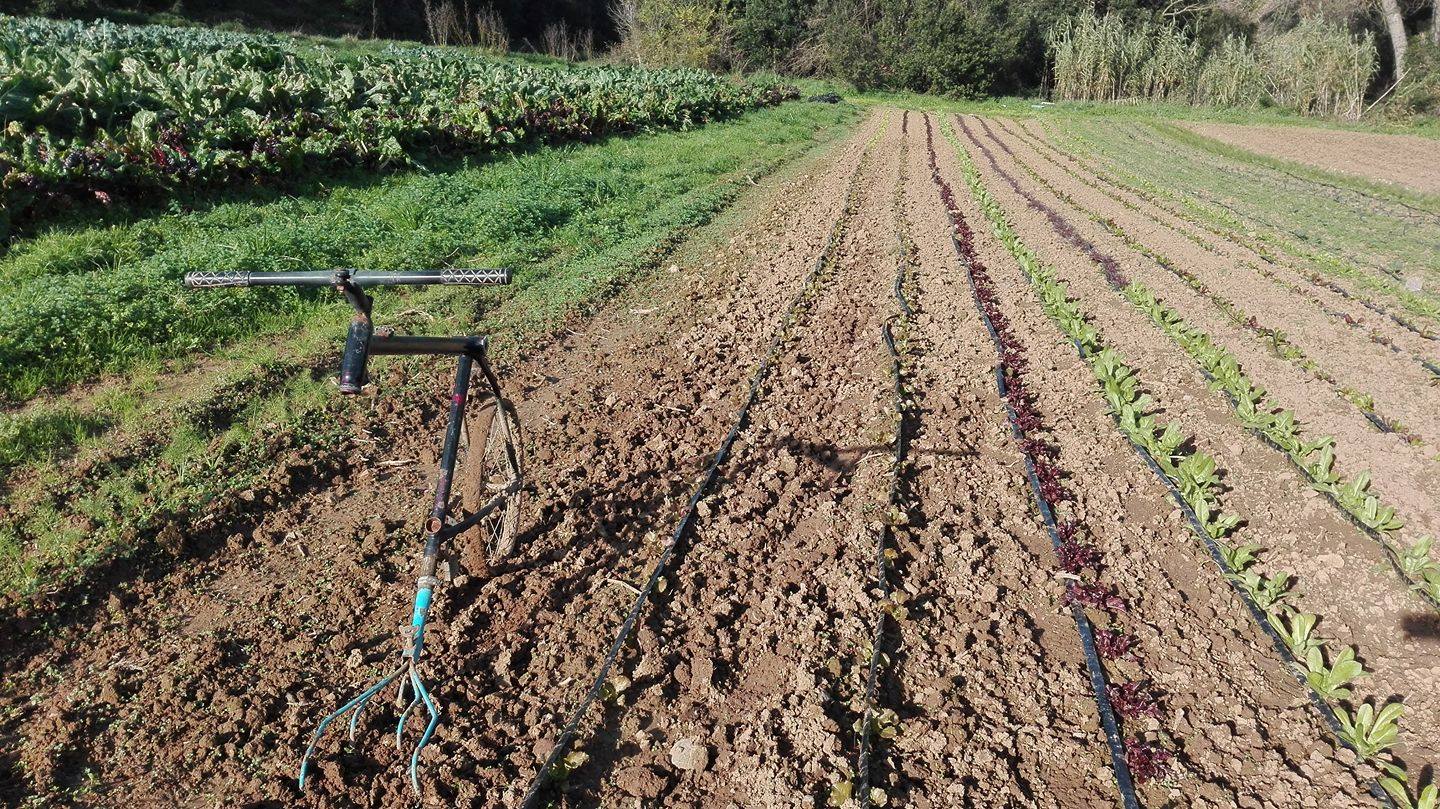 La Xirivia-Horta Ecològica | Cruilles