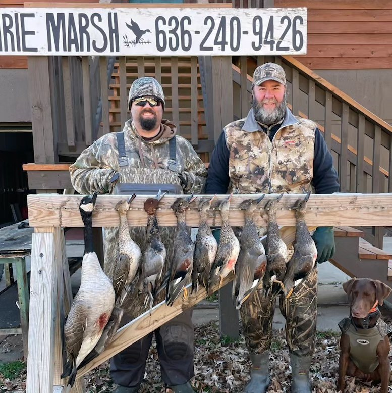Siège De Chasse (marsh Seat) Avery Pour La Chasse Au Gibier D'eau Et Au Pigeon - En Métal, Neuf Sous Emballage