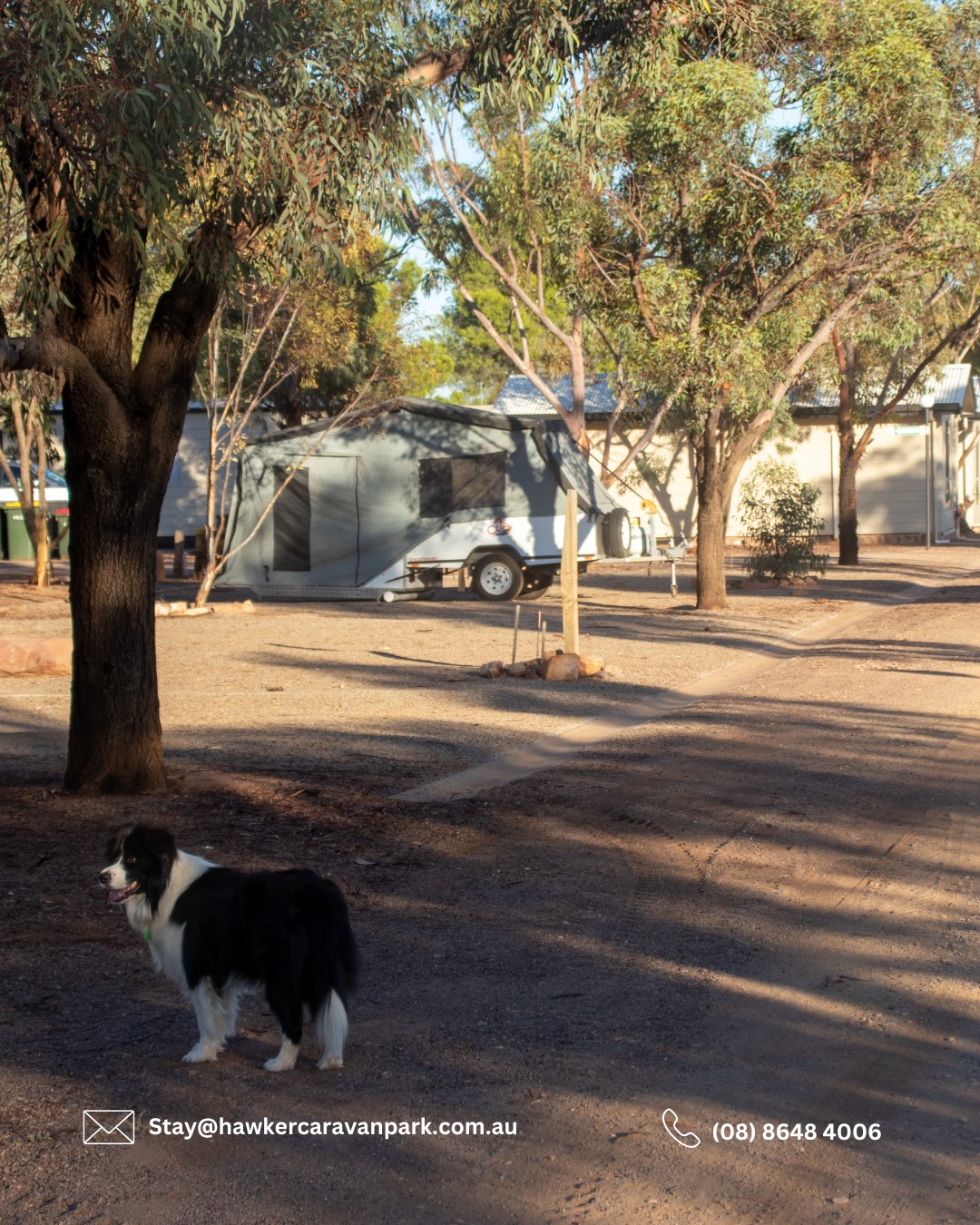 Hawker Holiday Park - Flinders Ranges SA | Hawker SA