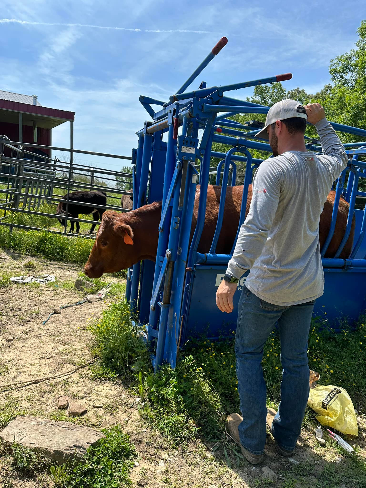 Red Ridge Farm