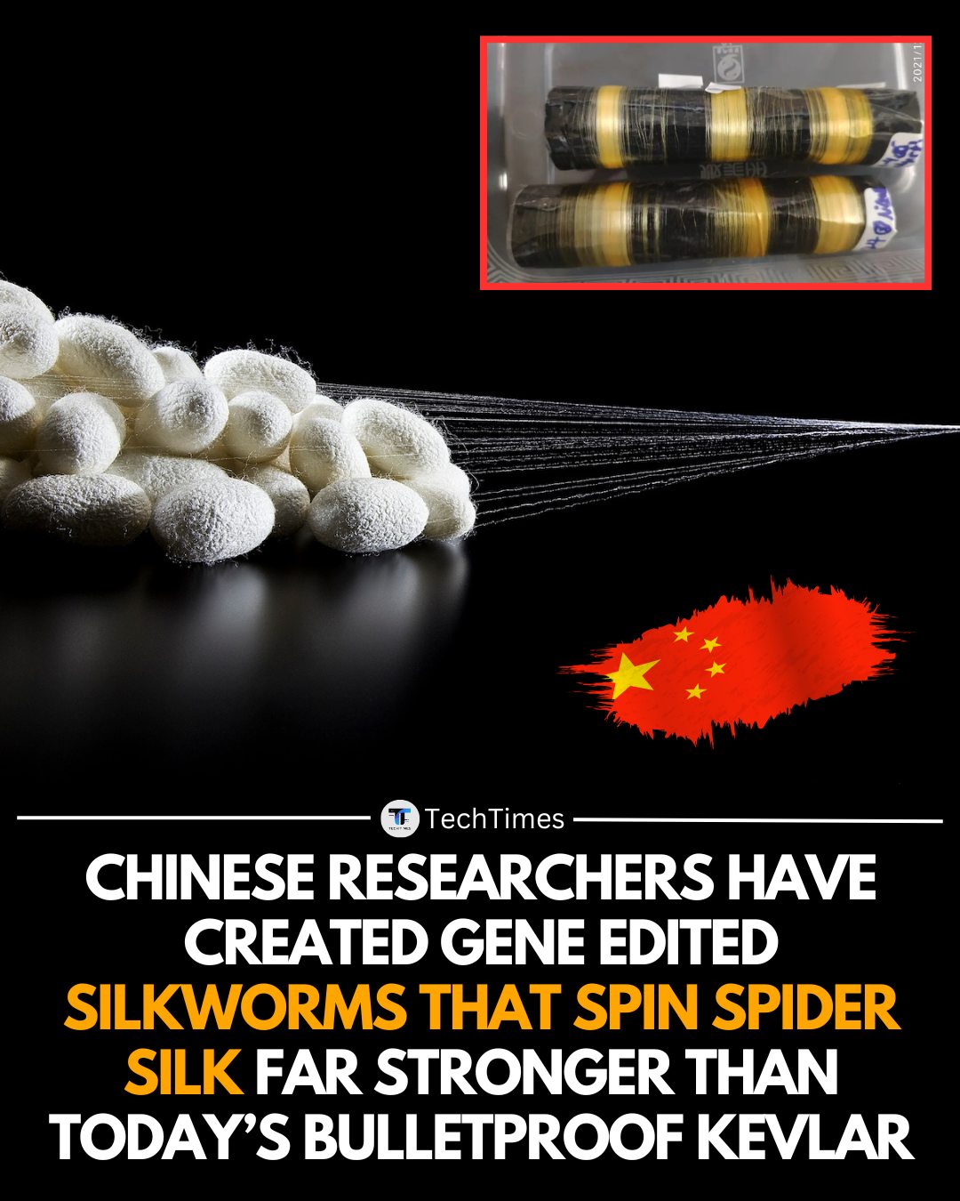 TechTimes - Chinese scientists have successfully engineered silkworms ...