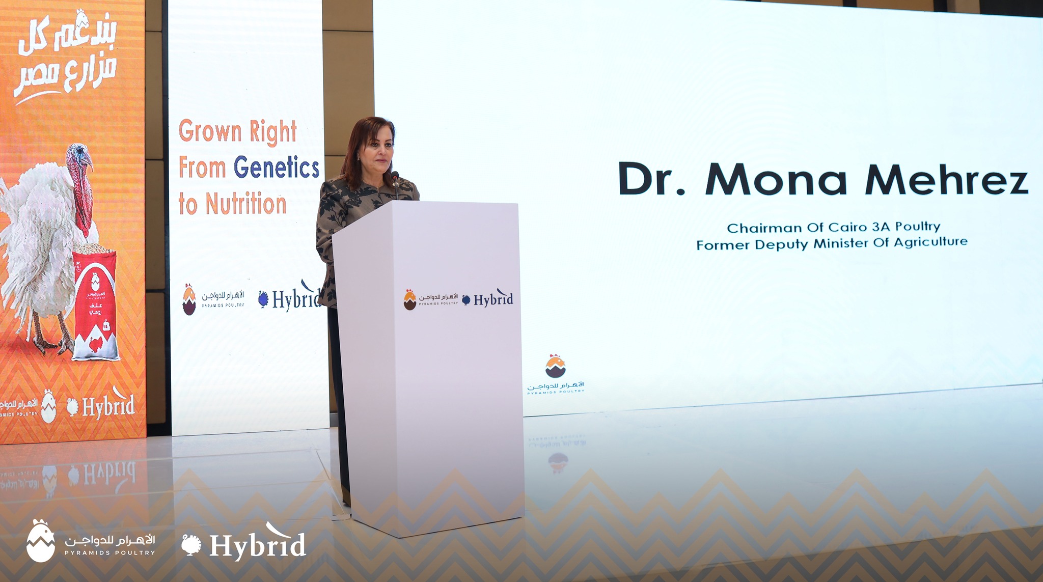 ‎الاهرام للدواجن -... - الاهرام للدواجن - Pyramids Poultry