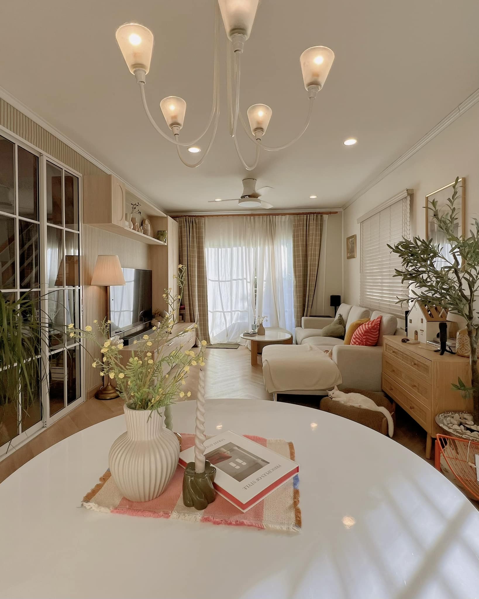 𝙎𝙖𝙡𝙞𝙣 - ห้องนั่งเล่นเล็กๆ กับแมวตัวเล็กตัวน้อย 🫶🏻 | Facebook
