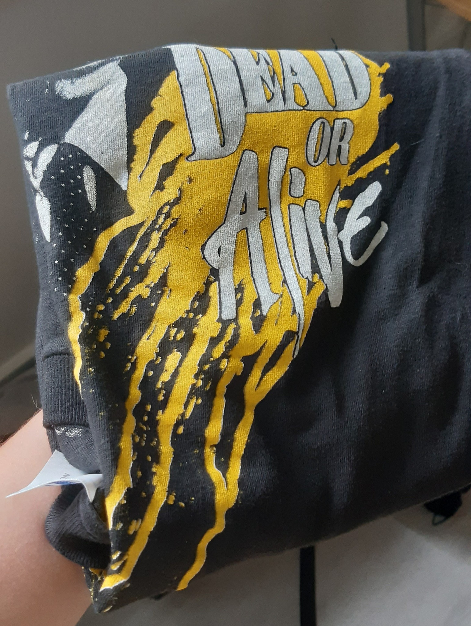 Is this Dead or Alive t-shirt vintage or a bootleg?
