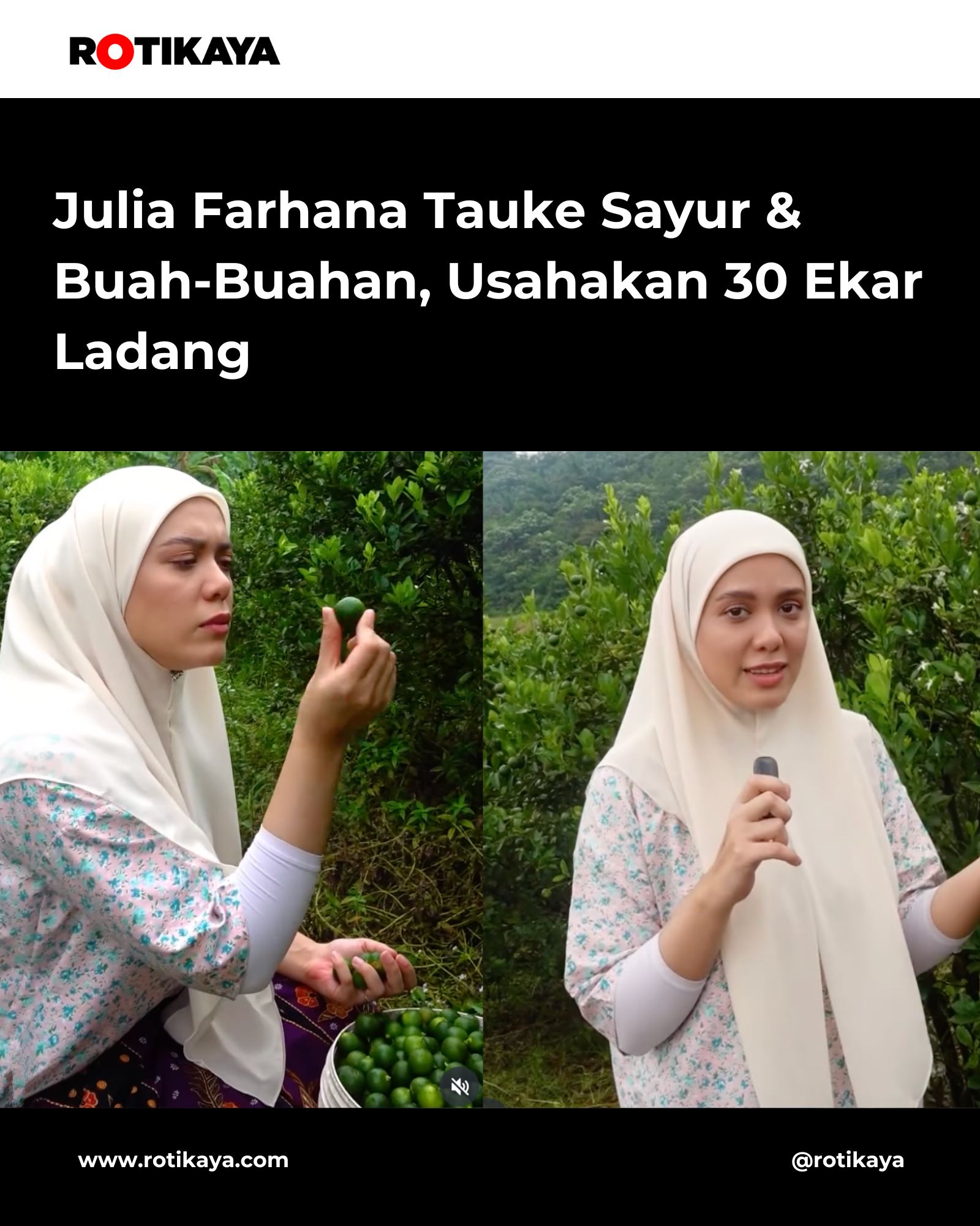 ROTIKAYA - Daripada lima ekar pada 2019 kini mengusahakan... | Facebook