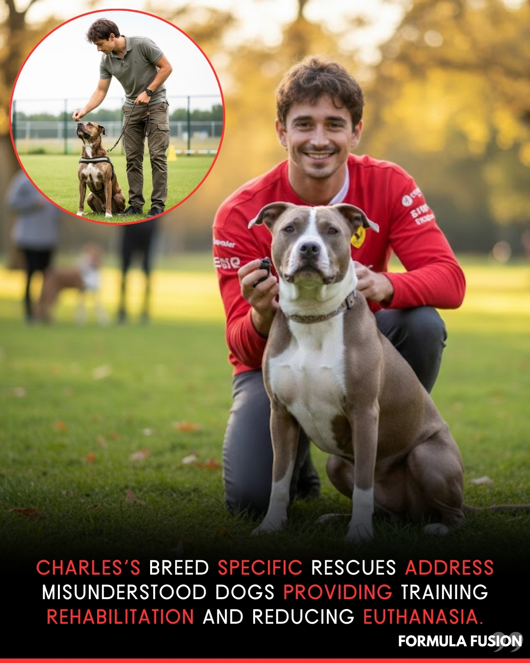 Formula Fusion - Charles’s breed specific rescue... | Facebook