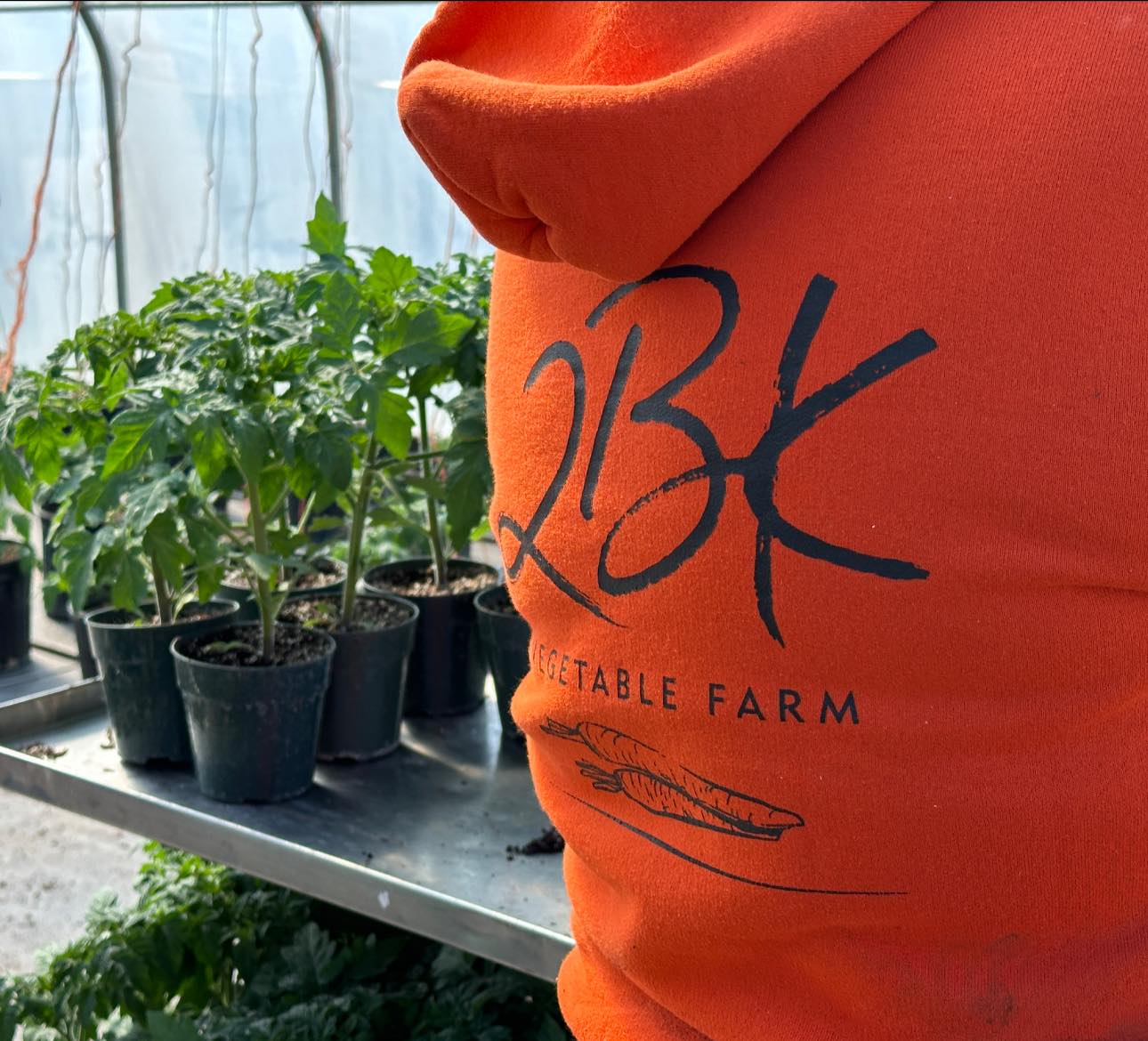 Homegrown vegetables, just like... - 2BK Vegetable Farm | Facebook