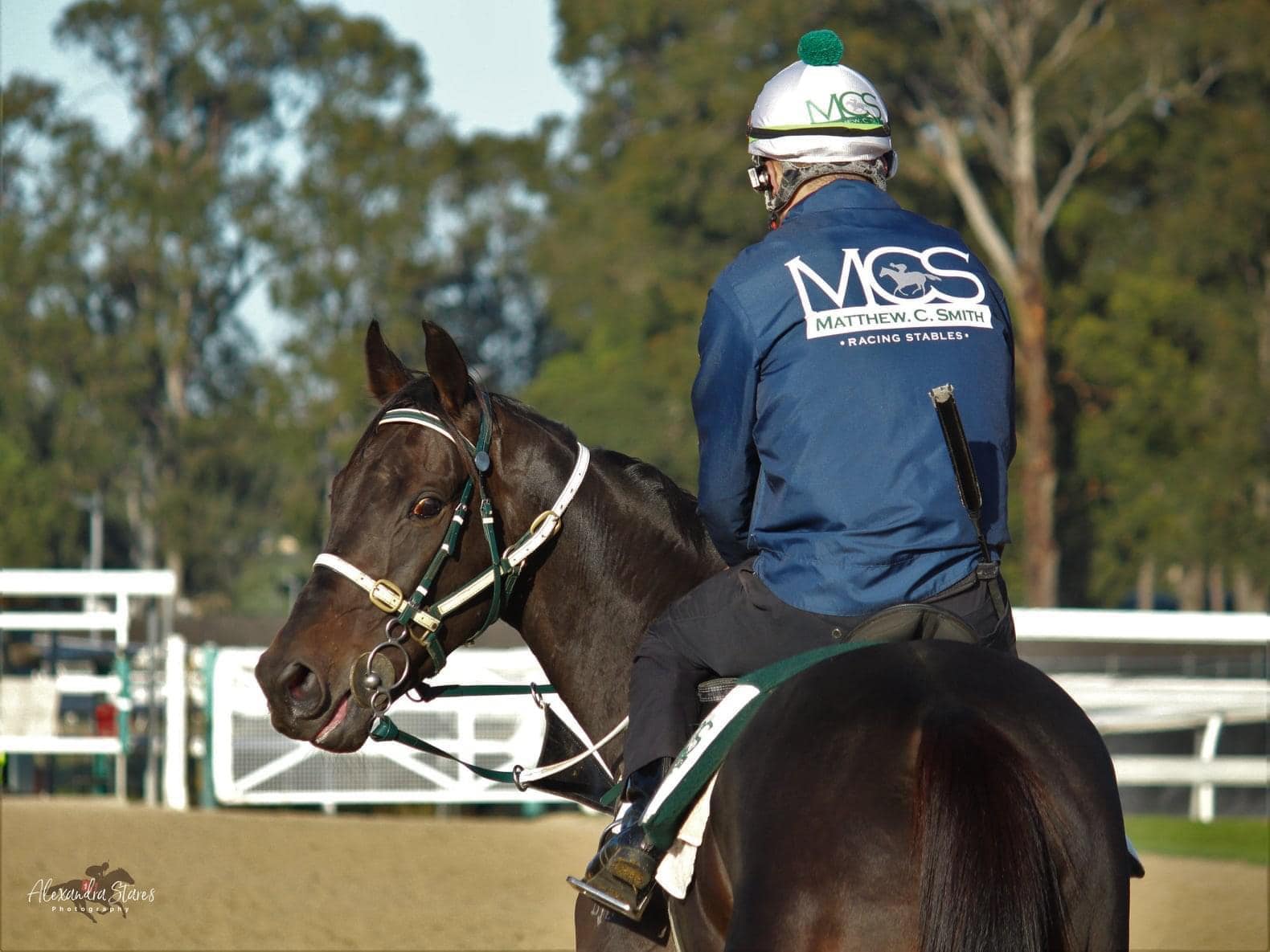 Our first Melbourne Cup... - Matthew C Smith Racing Pty Ltd | Facebook