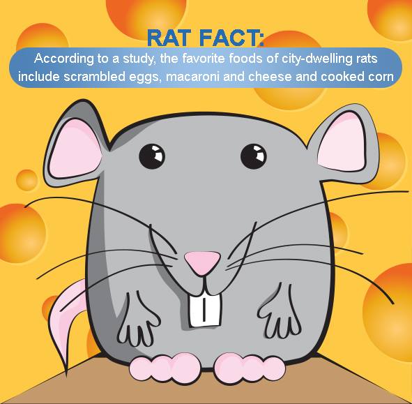 Raticator