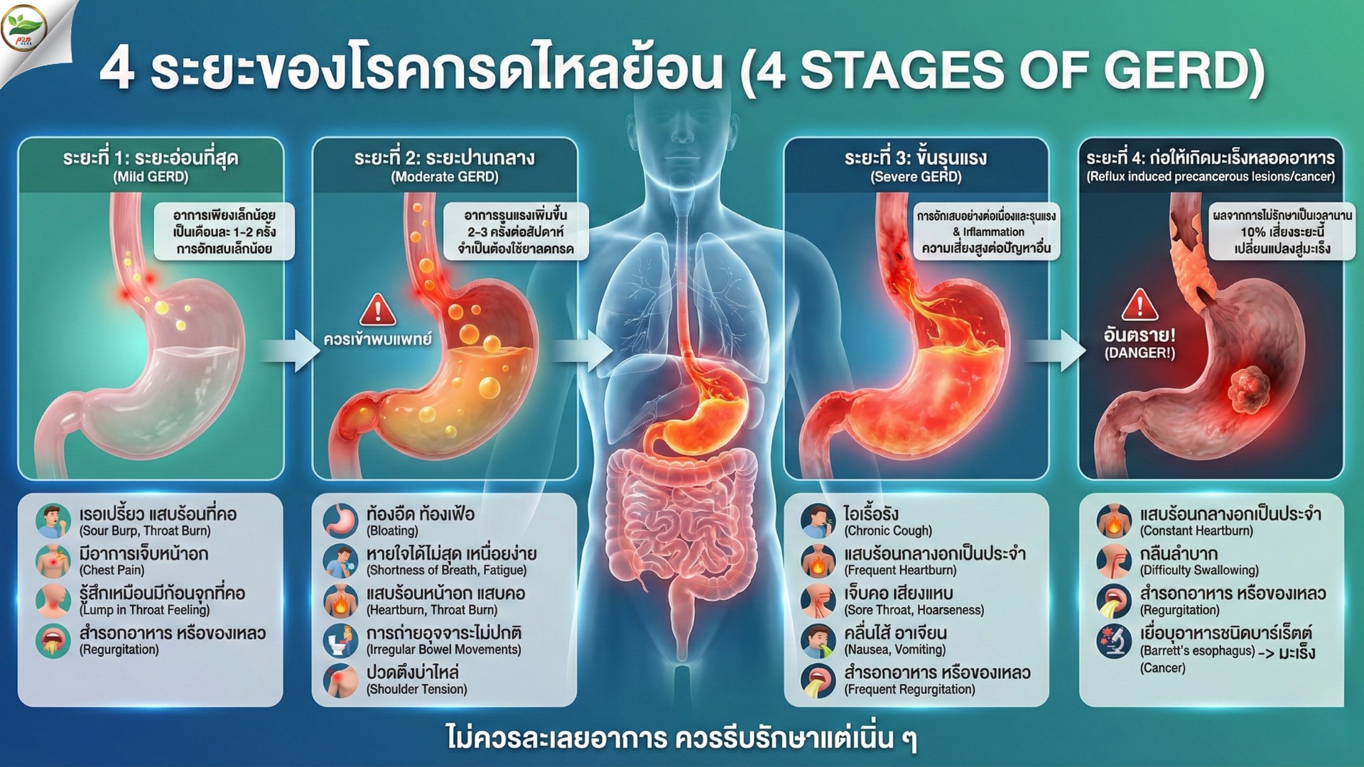 PN Herb นวัตกรรมสมุนไพรเพื่อสุขภาพ | Pak Phraek