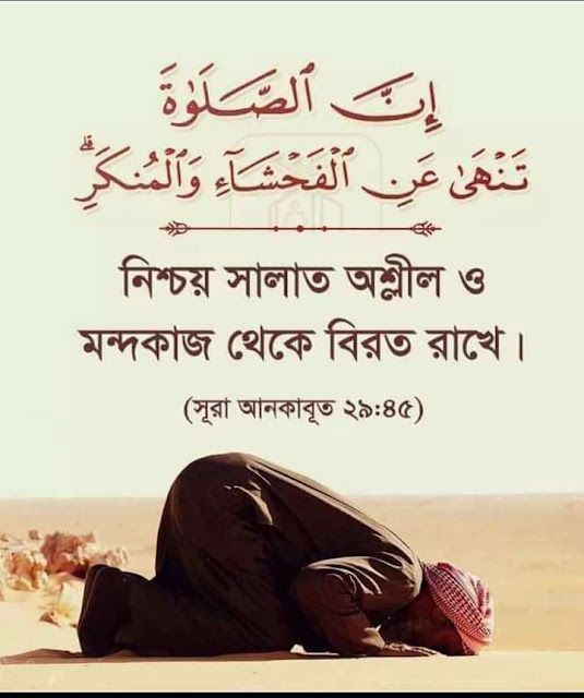 Md Rafiqul Islam