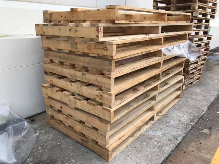 Big size pallet 💪🏻 - ฅนค้าไม้ หาดใหญ่