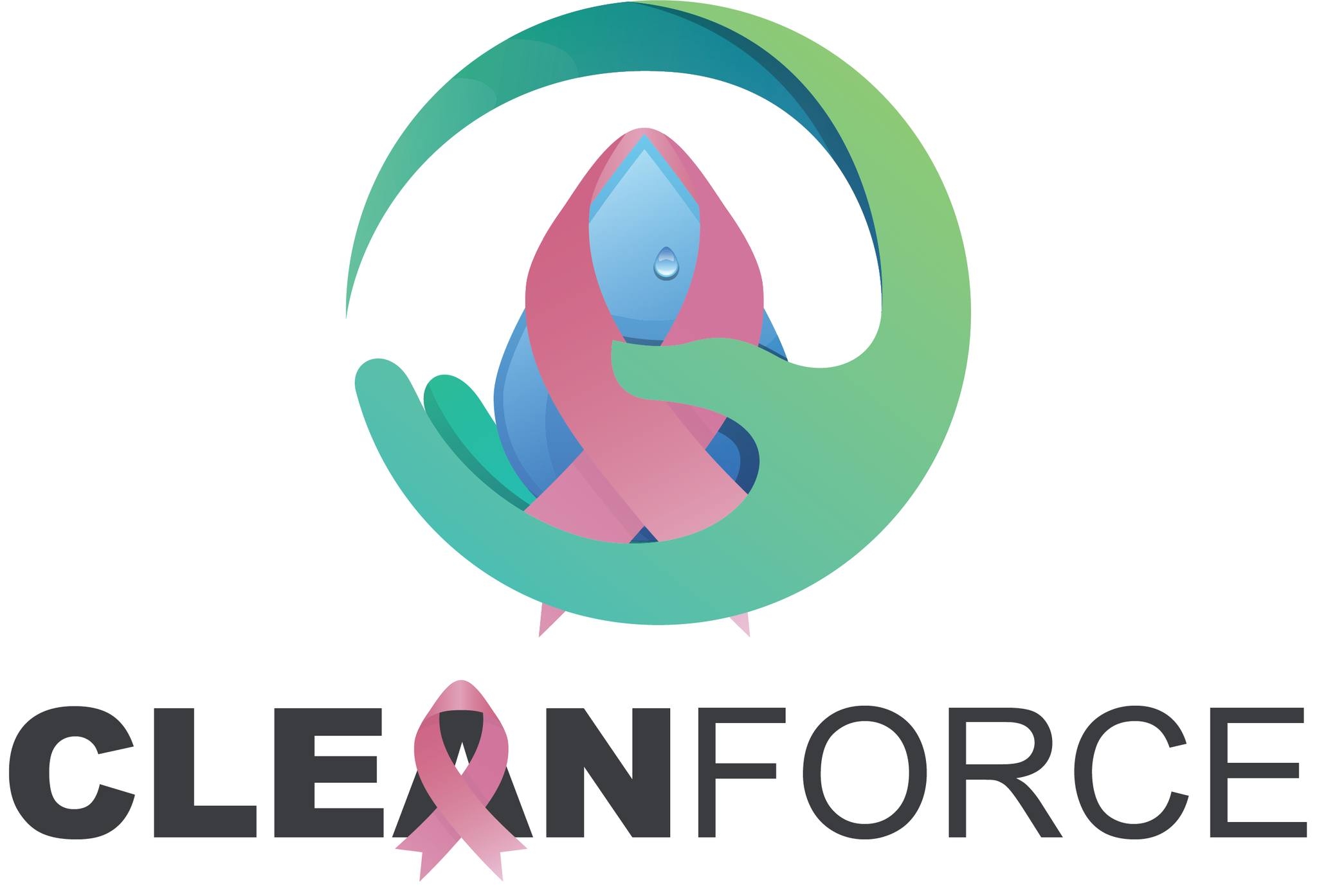 Cleanforce