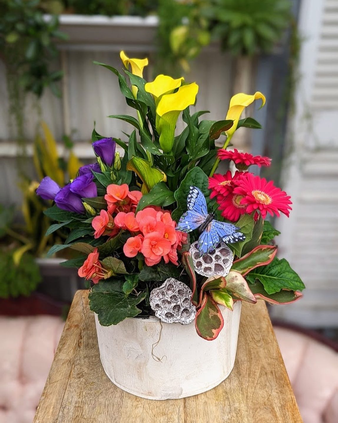 🌸 Celebrate Mother's Day... - The Watering Can Flower Market