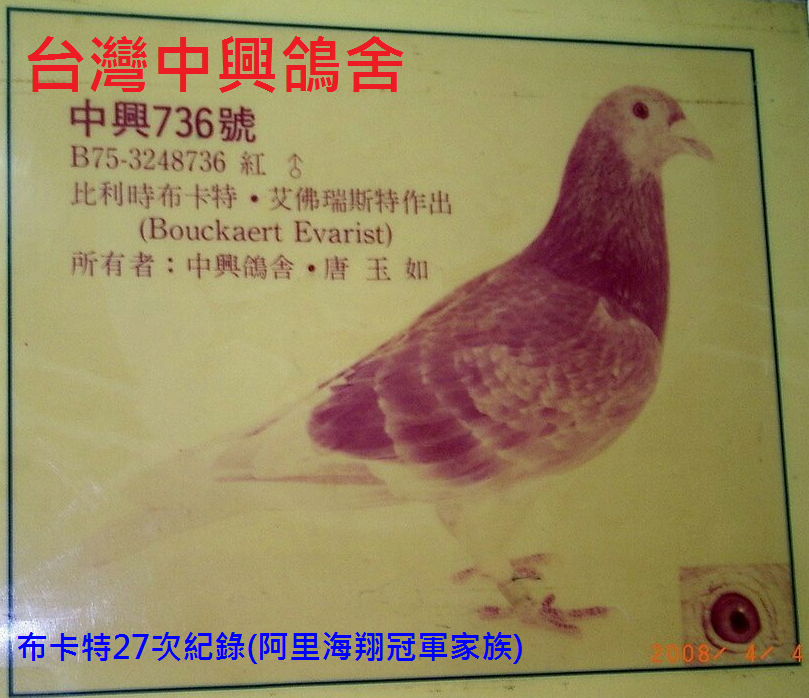 台灣中興鴿舍賽鴿競翔網站 Home Facebook