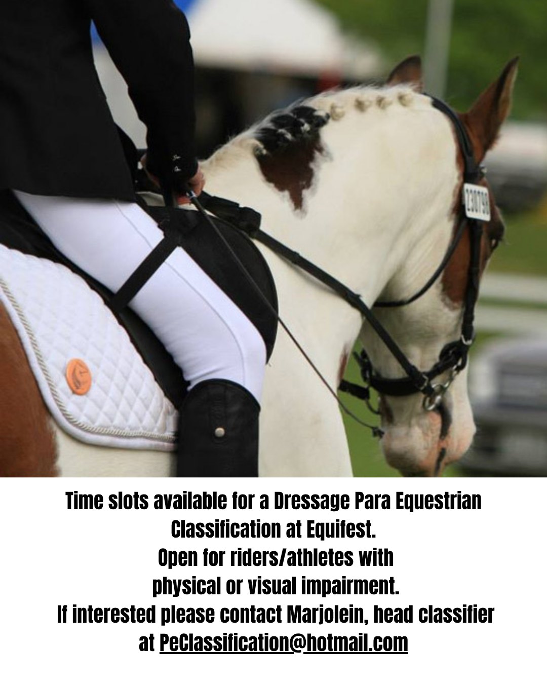 Photo inspiration: Gallery Detail: Equestrian Dressage Nz Esnz Para Equestrian Here S The Email