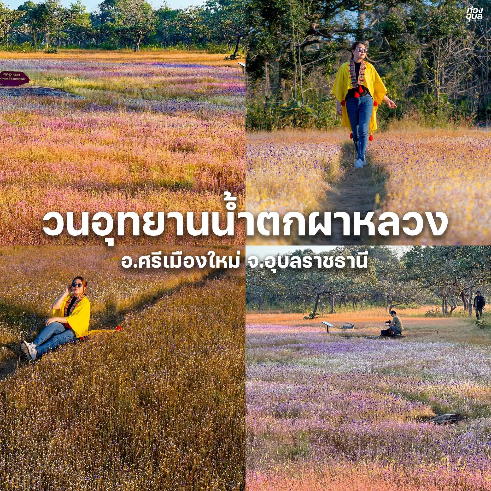 ท่องอุบล Thailand added a new photo. - ท่องอุบล Thailand