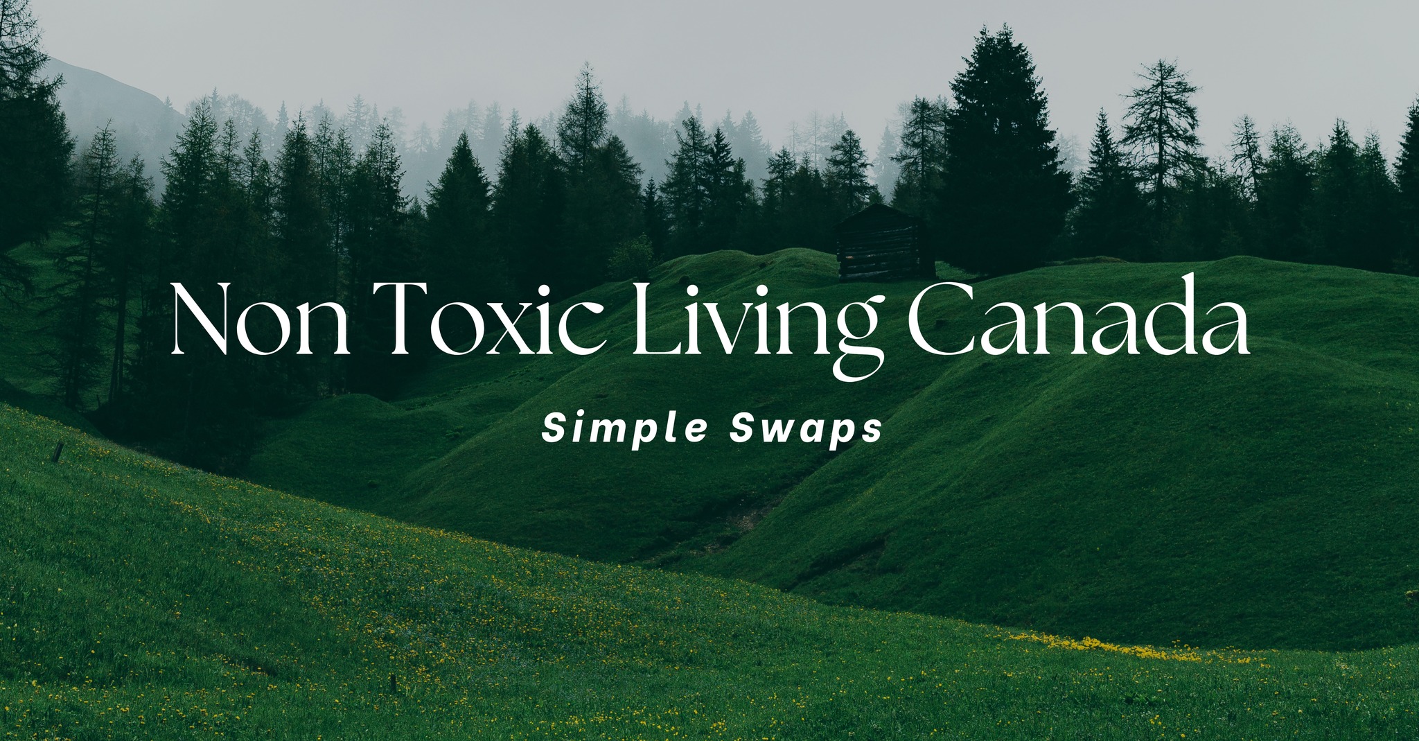 Non Toxic Living Canada - Simple Swaps | My frying pan is toast and I ...