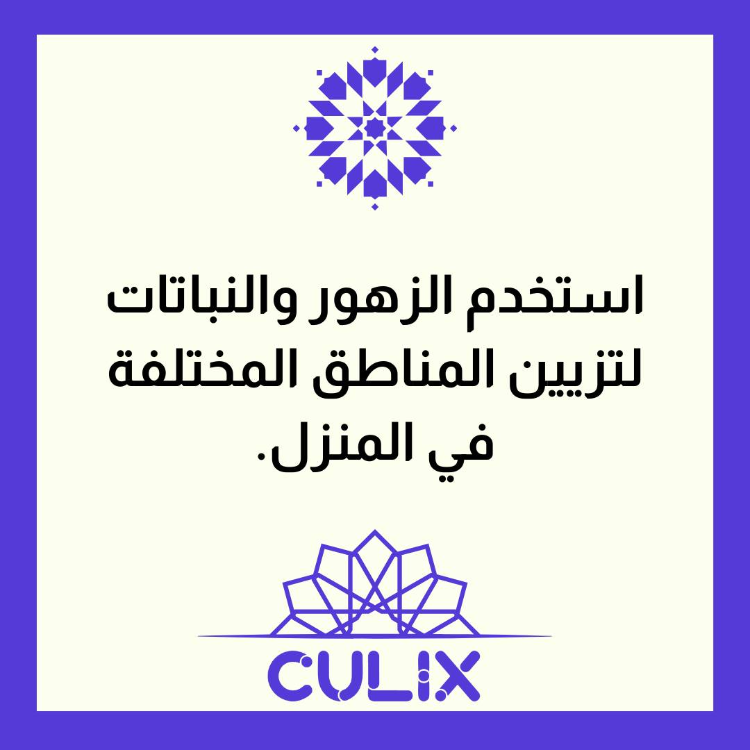 Culix | Casablanca