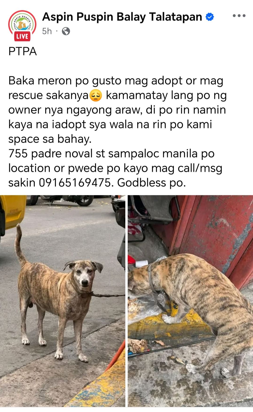 Jaypee Lobaton - Please share 🙏🙏🙏🙏 Let's help ASPIN PUSPIN... | Facebook