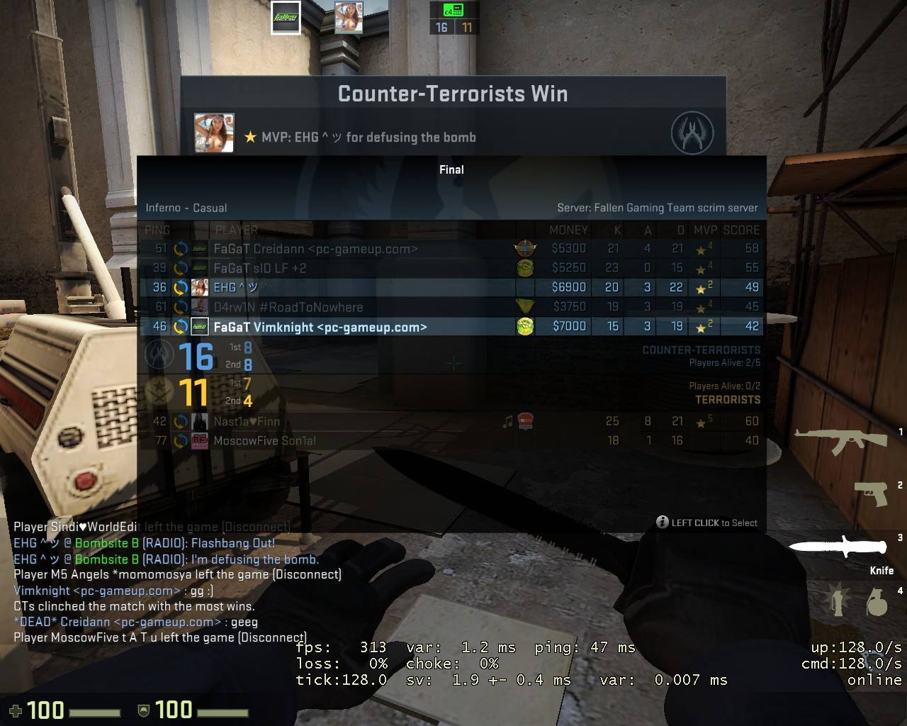 Fallen Gaming Team