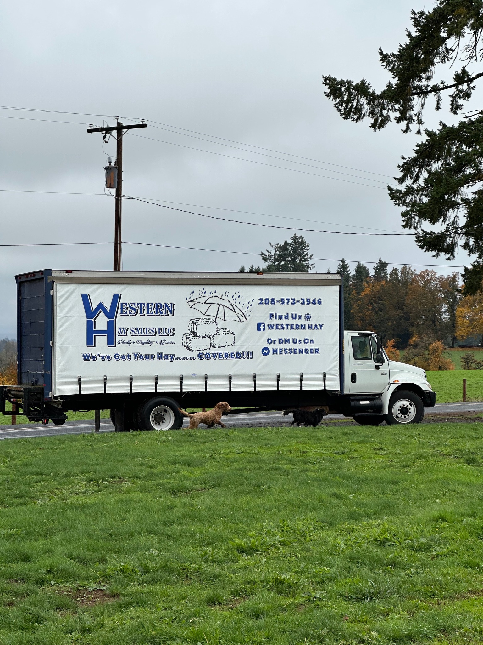 Would you like to stop driving to 3... Western Hay Sales
