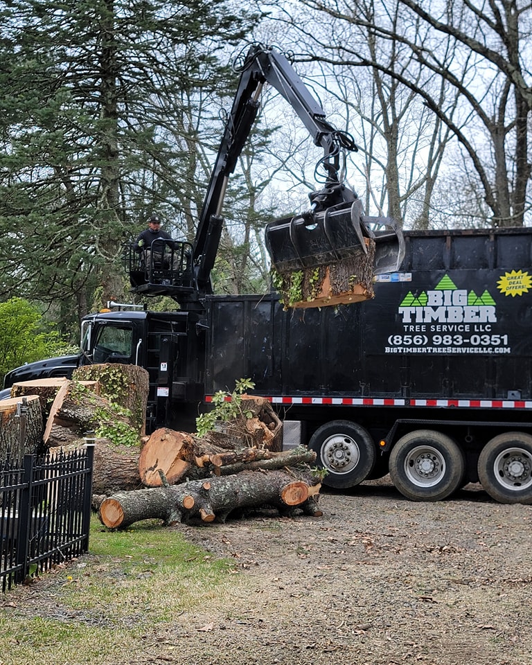 Big Timber Tree Service LLC | Marlton NJ