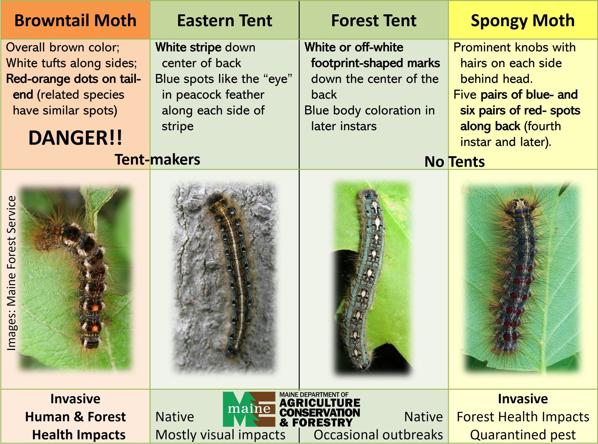 University of Maine Cooperative Extension Franklin County | Farmington ME