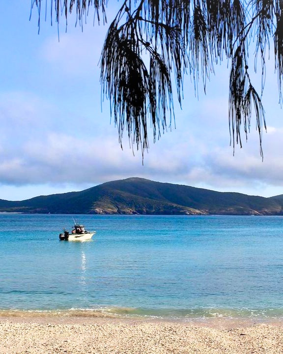 🏕️ Ah, the magical Humpy... - Queensland National Parks