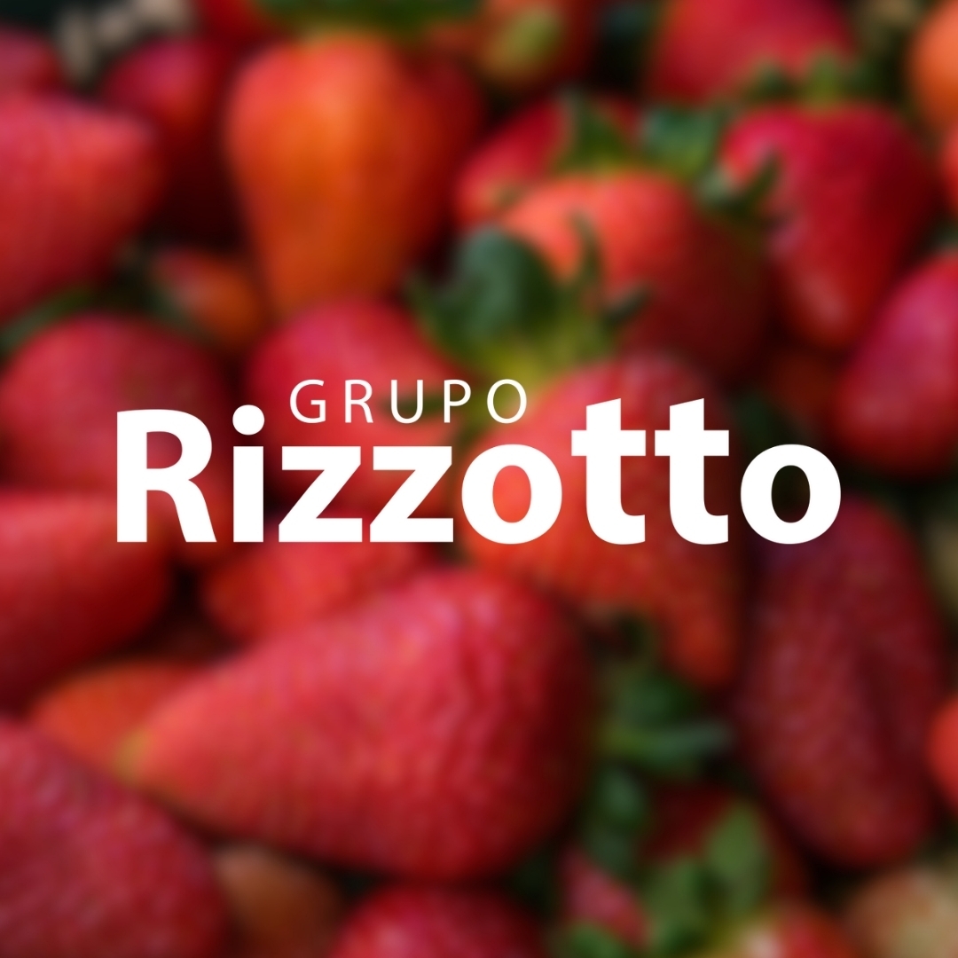 Grupo Rizzotto