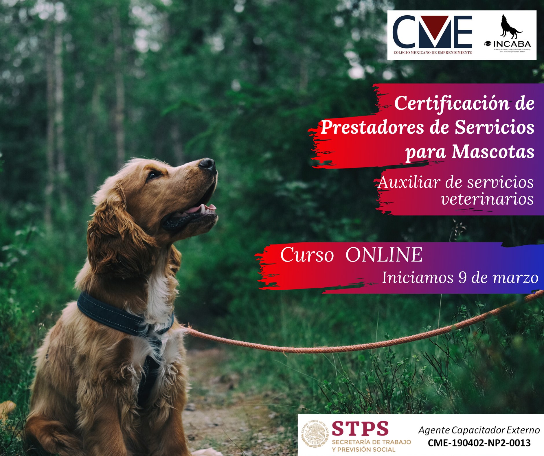 Incaba Servicios Profesionales - 😁😁😁 Becas disponibles para nuestro ...