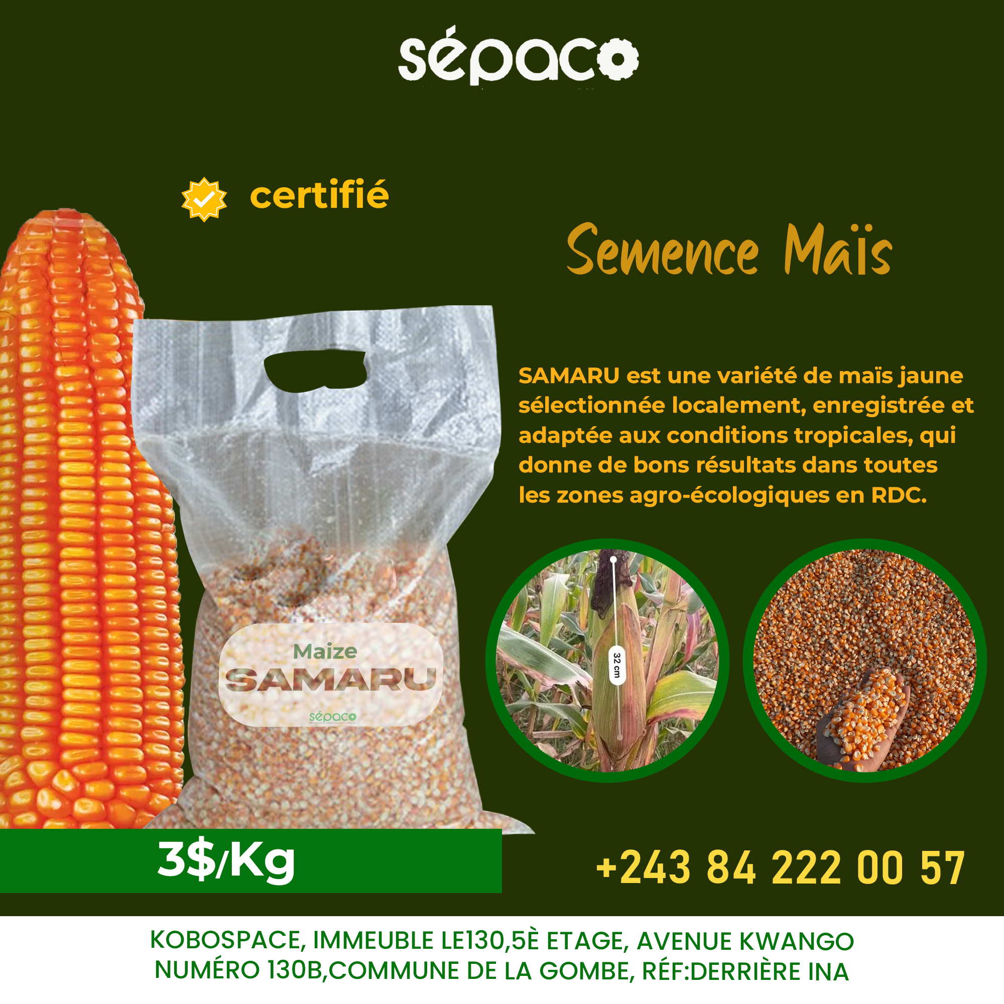 Sépaco - La production de Semences de la variété Samaru... | Facebook