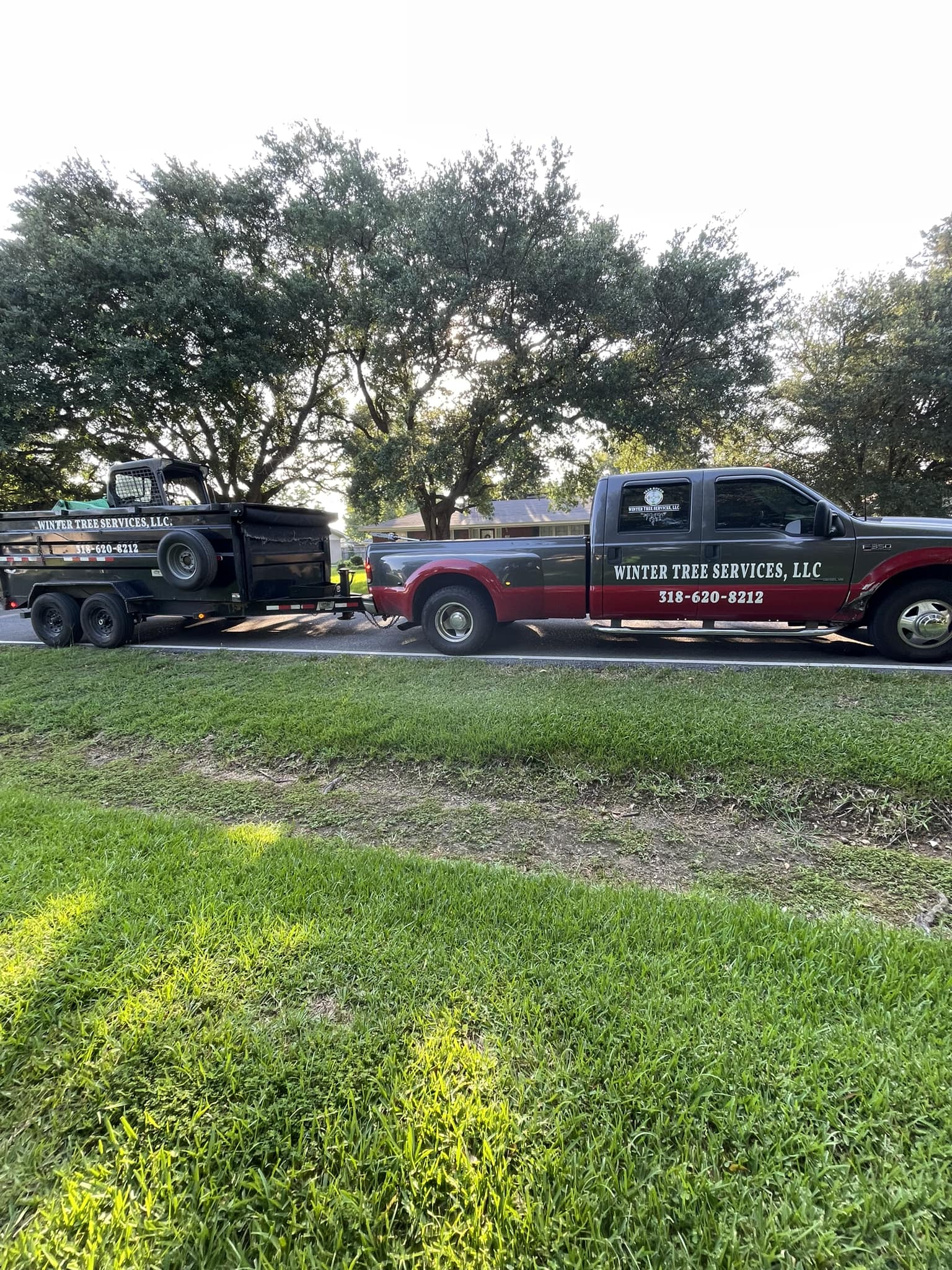 Winter Tree Services | Bernice LA