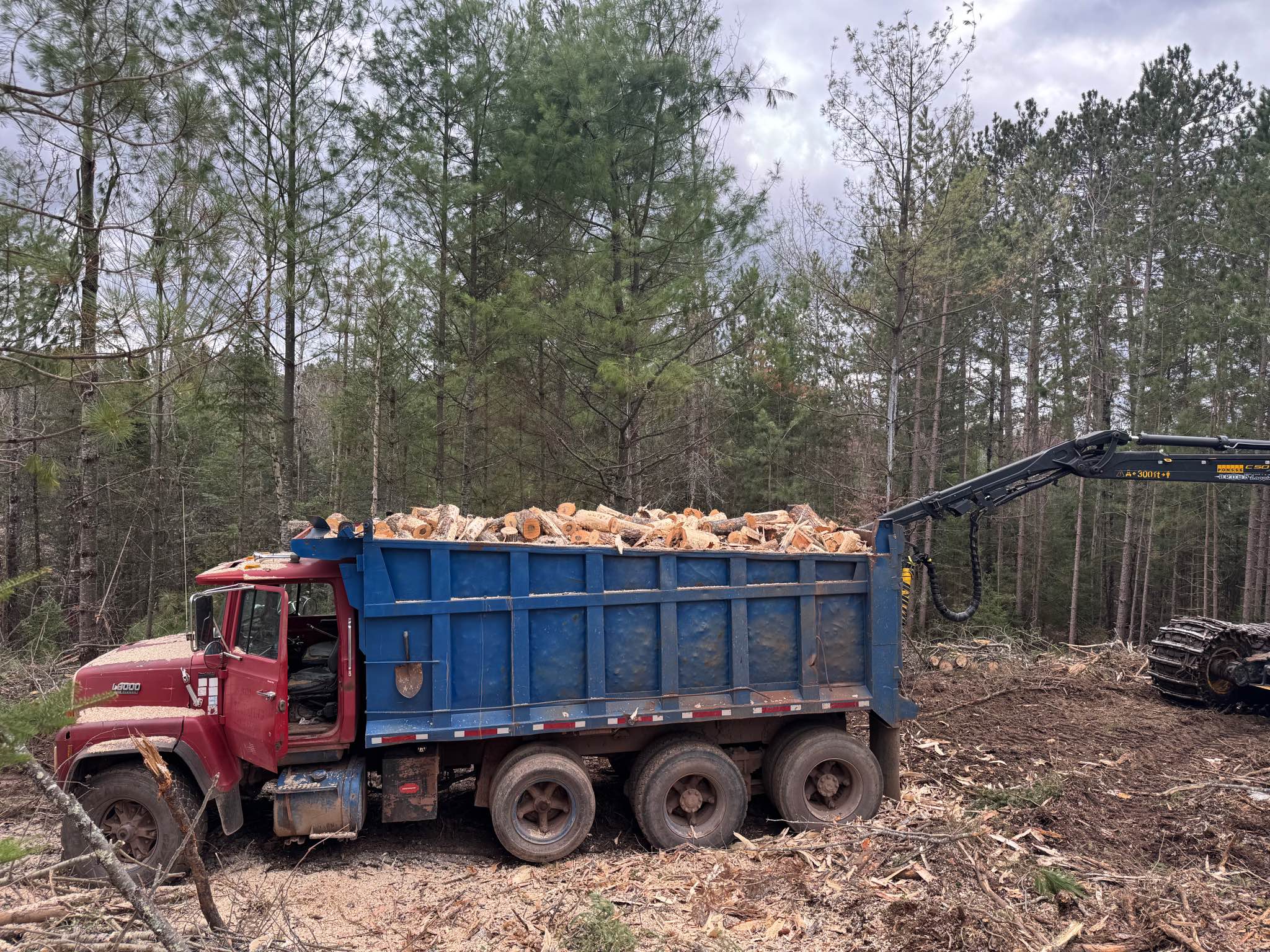 Unsplit Firewood Logs - Miscellaneous - Iron Mountain, Michigan ...