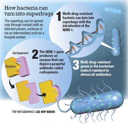 BioGeny - New Antimicrobial Strategy Silences NDM-1 Resistance Gene in ...