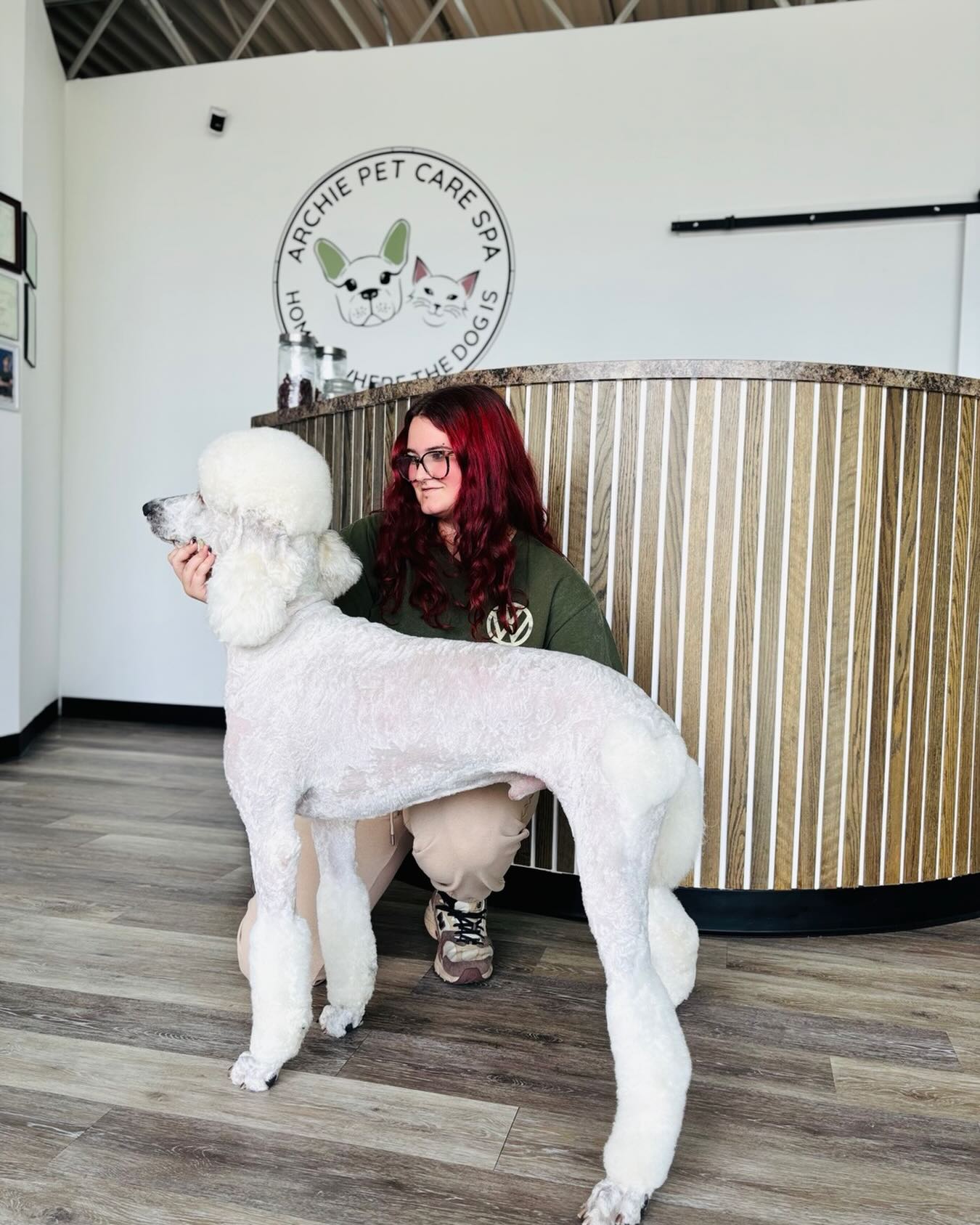 Archie Pet Care Spa | Somerset MA