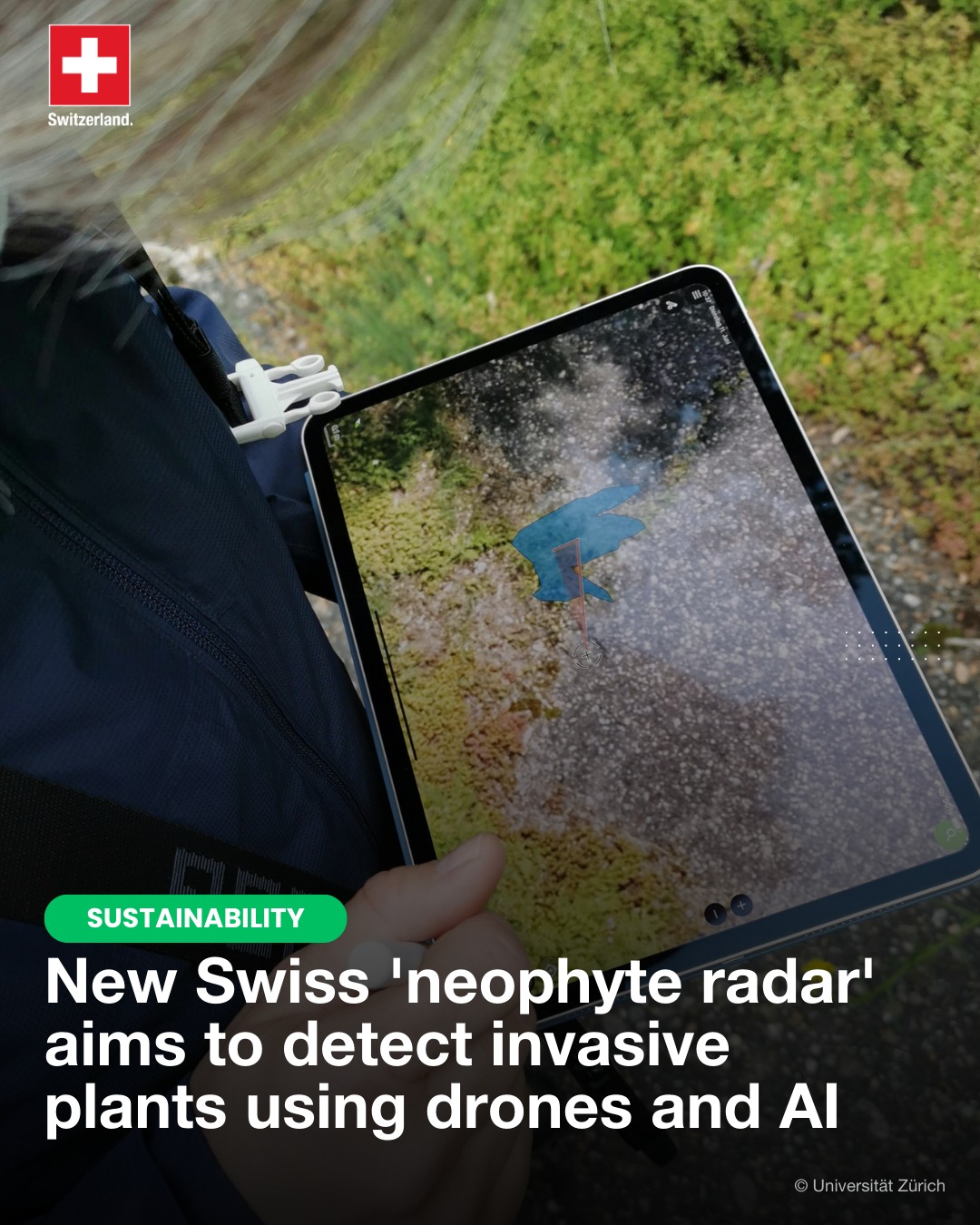 Embassy - Invasive alien plants threaten #biodiversity and # ...