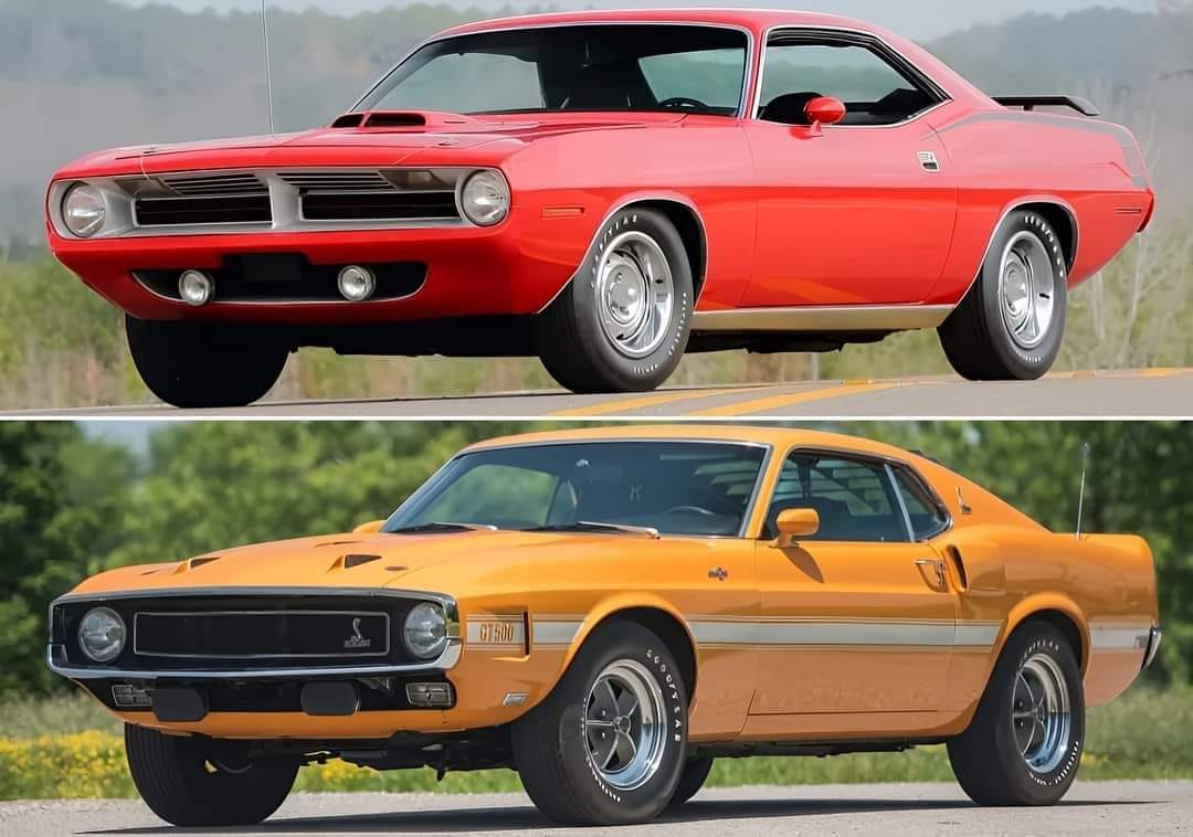Sitemapcdatahttpthereferenznetplymouth Cuda Vs Barracudanull