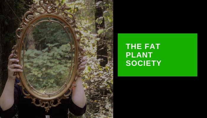 Green is the New Black: Why Green... - The Fat Plant Society