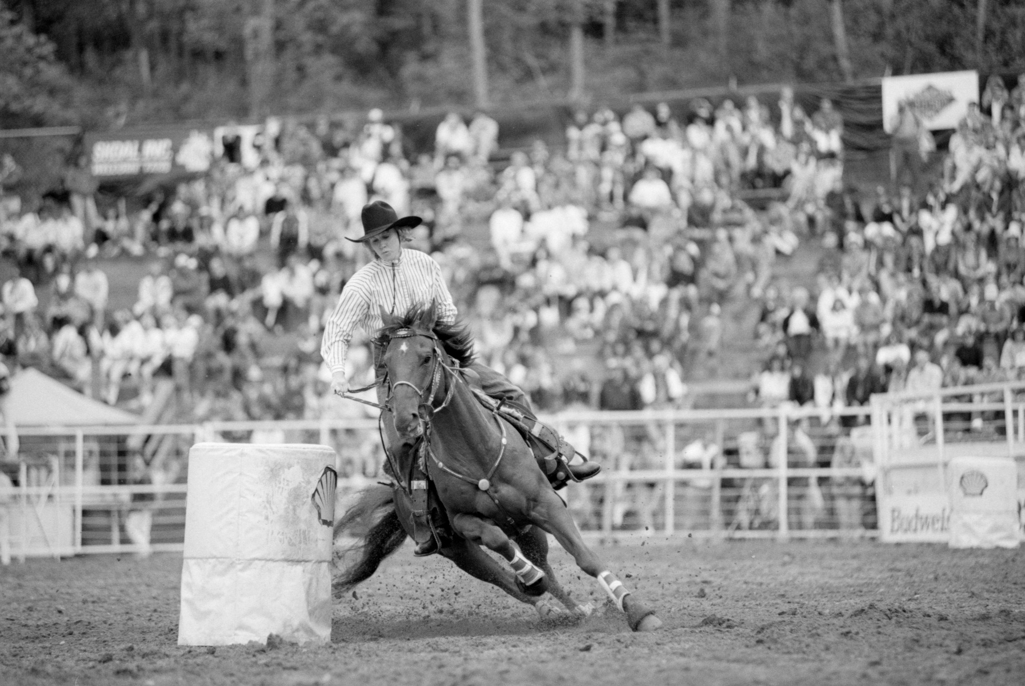 Lost - Barrel Racing at the Cloverdale Rodeo circa 1990. | Facebook