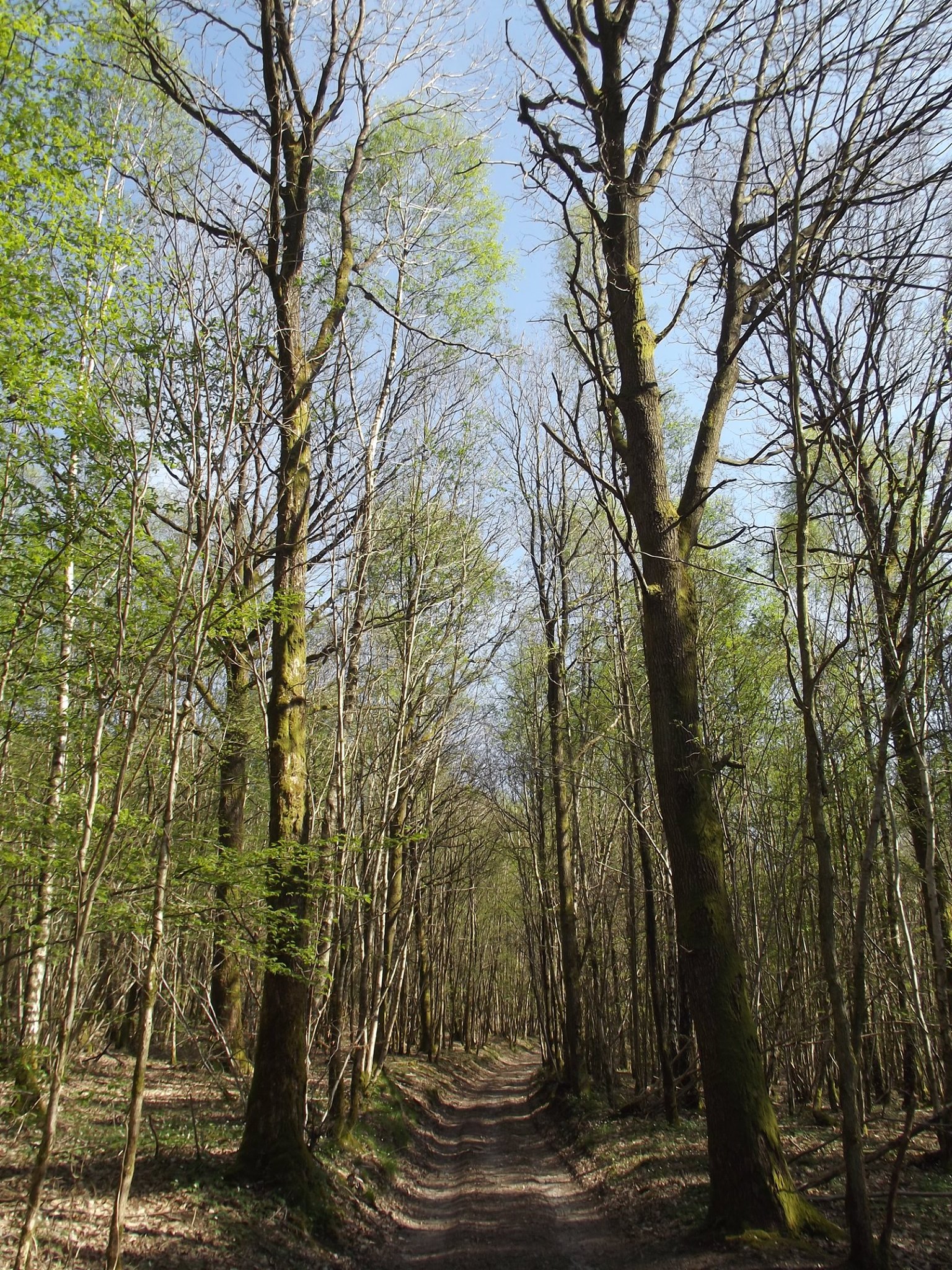 Au bout d'un chemin... - Les Ardennes : un patrimoine inconnu | Facebook