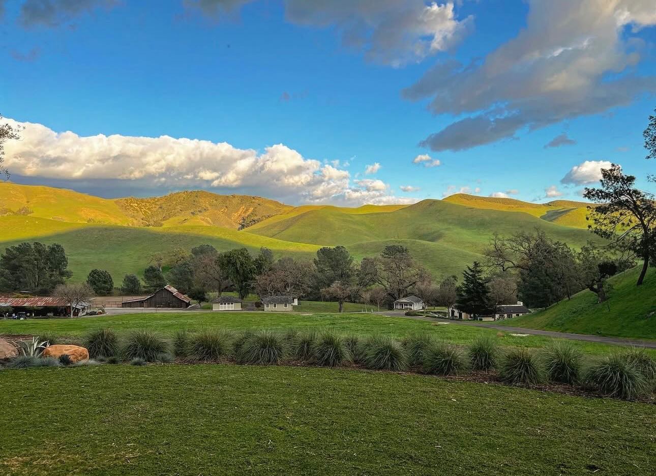 El corazón verde de la finca 💚 - Star Lane Vineyard & Winery | Facebook